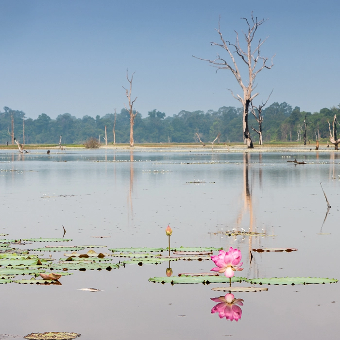 AngkorWat2-5_thumb.webp